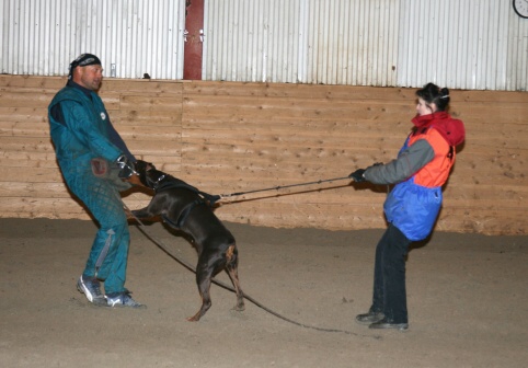 Training in Estonia 3/2007